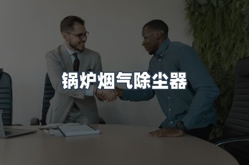 锅炉烟气除尘器