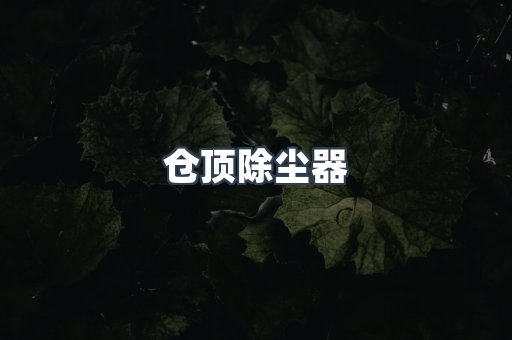 仓顶除尘器